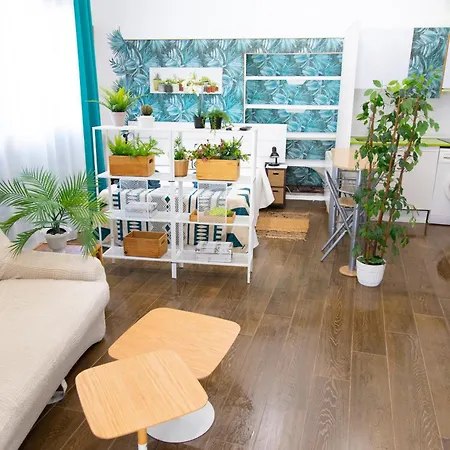 Puerta Palma Estudio Badajoz