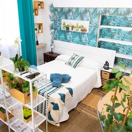 Puerta Palma Estudio